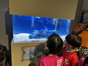 IMG_6004